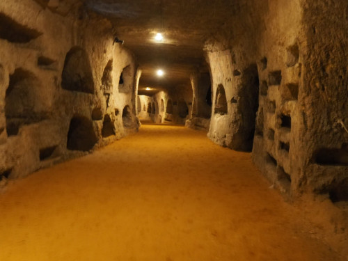 hochgradig illegal, dieses Foto 